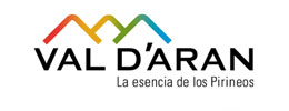 Socios Globales